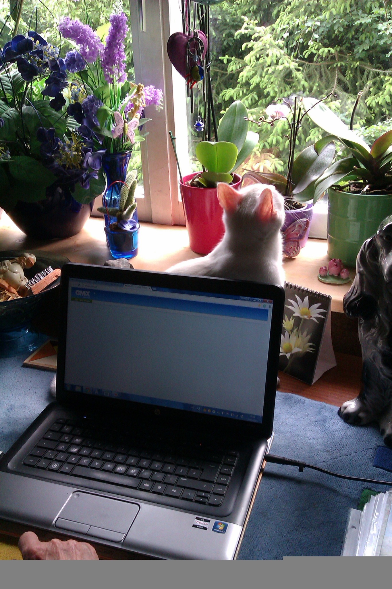 Wenn Ihr An Mich Denkt Seid Nicht Traurig Wenn ihr an mich denkt, seid nicht traurig. Erzählt von mir und traut