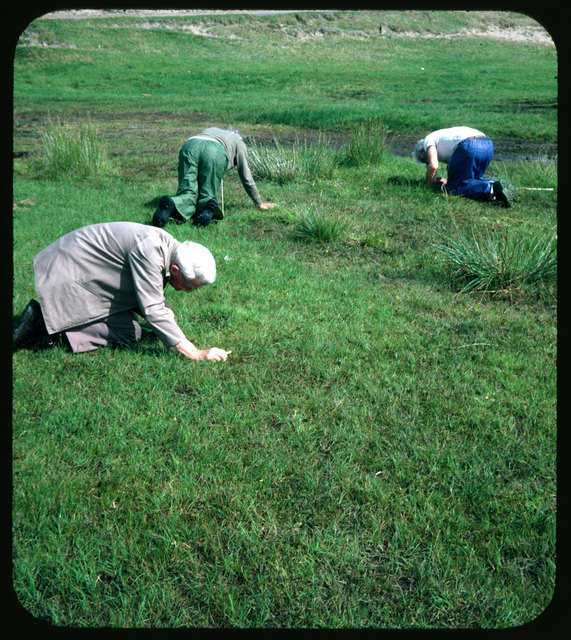 Fotocredit: Andrea Büttner, Stereoscopic slide show from the Whitehouse collection (mosses and field trips)(Detail), 2014, Courtesy Hollybush Gardens, London und David Kordansky Gallery, Los Angeles. © Andrea Büttner / VG Bild-Kunst, Bonn 2016, Foto: Haro