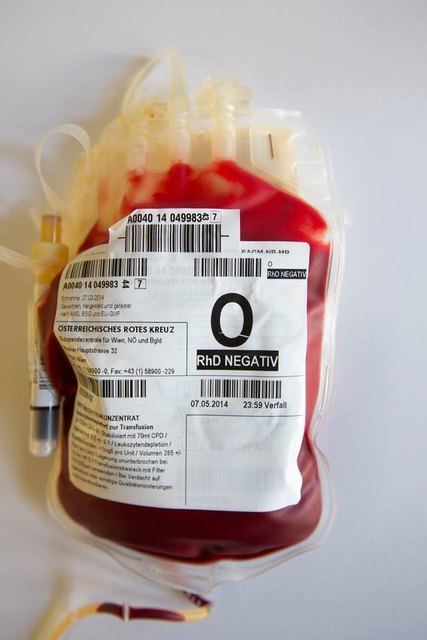 © Österreichisches Rotes Kreuz