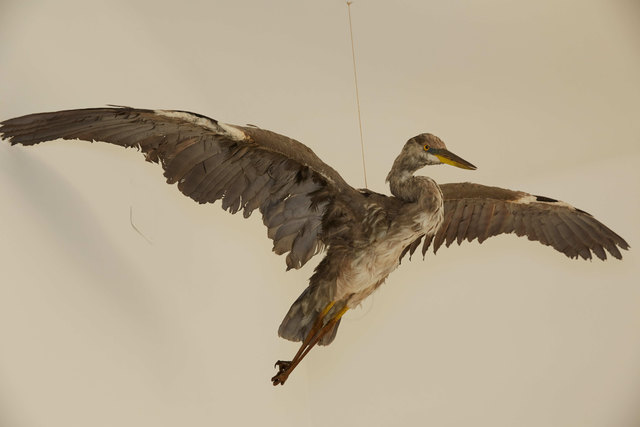 "Langenzersdorf und die Donau", Ausstellungsansicht, Foto Johannes Bockstefl