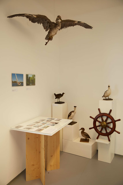 "Langenzersdorf und die Donau", Ausstellungsansicht, Foto Johannes Bockstefl