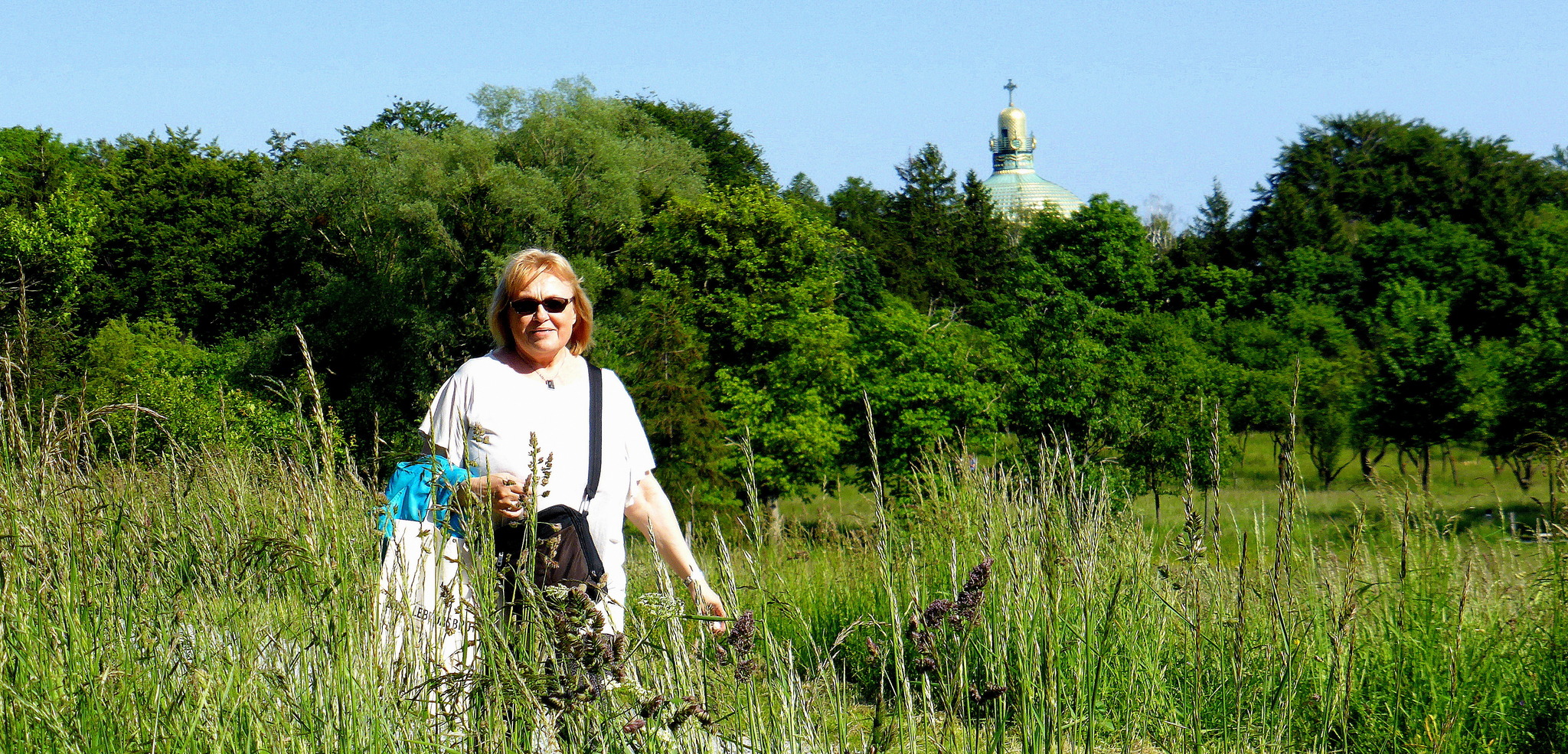 Unterwegs in den Steinhofgründen - Penzing