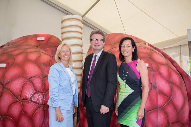 Gegen Rauchen: Verena Nussbaum, Christopher Drexler, Claudia Kahr | Foto: STGKK/Wrann