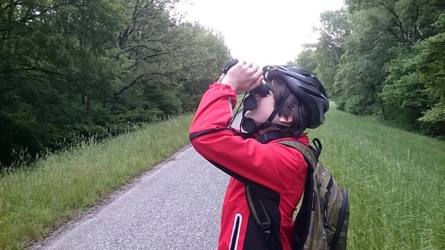 Auf der "Jagd" nach Vogelsichtungen: die Birdracer des Bezirks Gänserndorf waren erfolgreich.