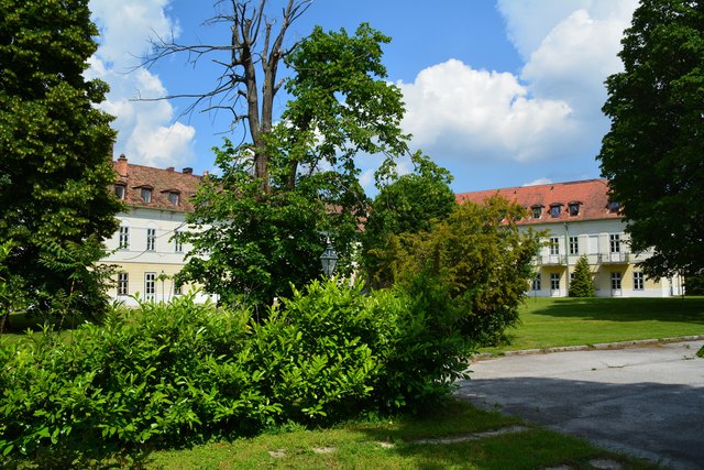 Stein des Anstoßes ist die geplante Errichtung von Appartment-Gebäuden auf dem Parkareal des Sauerhofs.