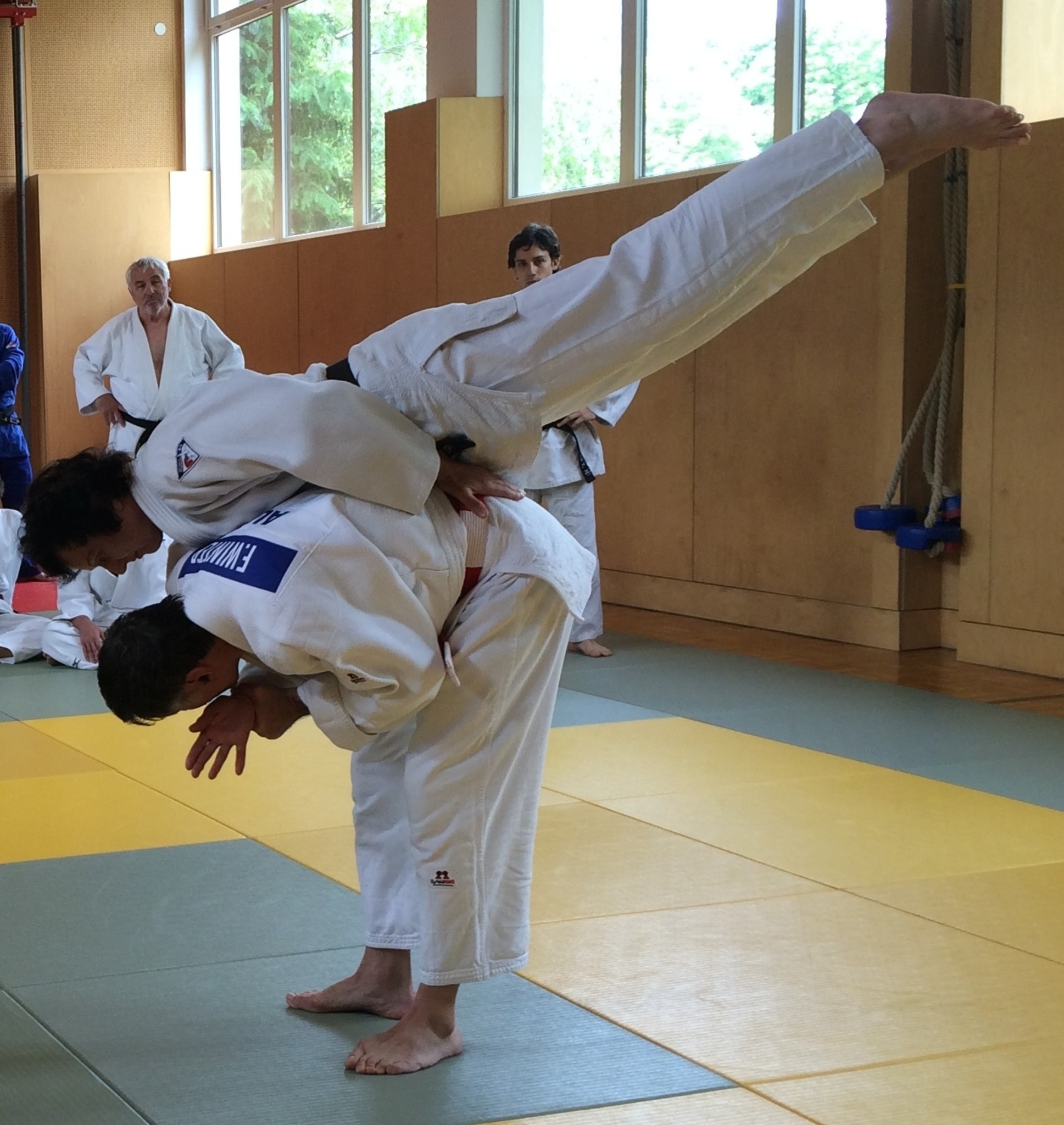 Judo Erfolgreicher Ju no kata Kurs in BadVöslau! Baden