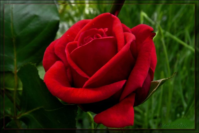 ...der ist auch schon wieder vorüber.