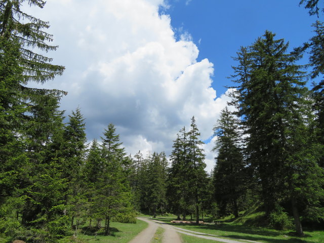 Am Zwischensimmering führt eine bequeme Forststraße retour nach Obsteig