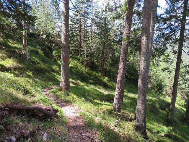 Über den Hallersteig geht es auf dem Grünberg Richtung Westen abwärts zu einem weiteren lohnenden Aussichtsplatz