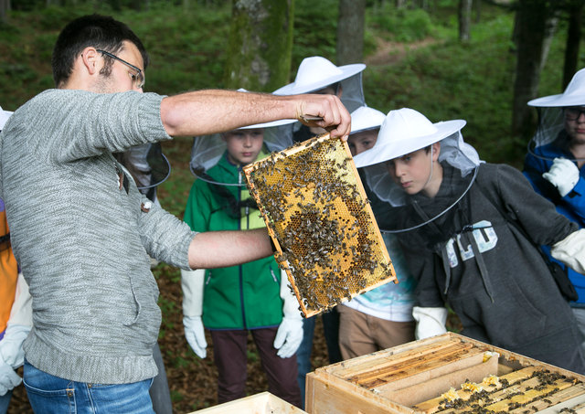Lehrer und Projektleiter Stefan Mayr und Schüler bei der Begutachtung der Waben. | Foto: Werkschulheim Felbertal
