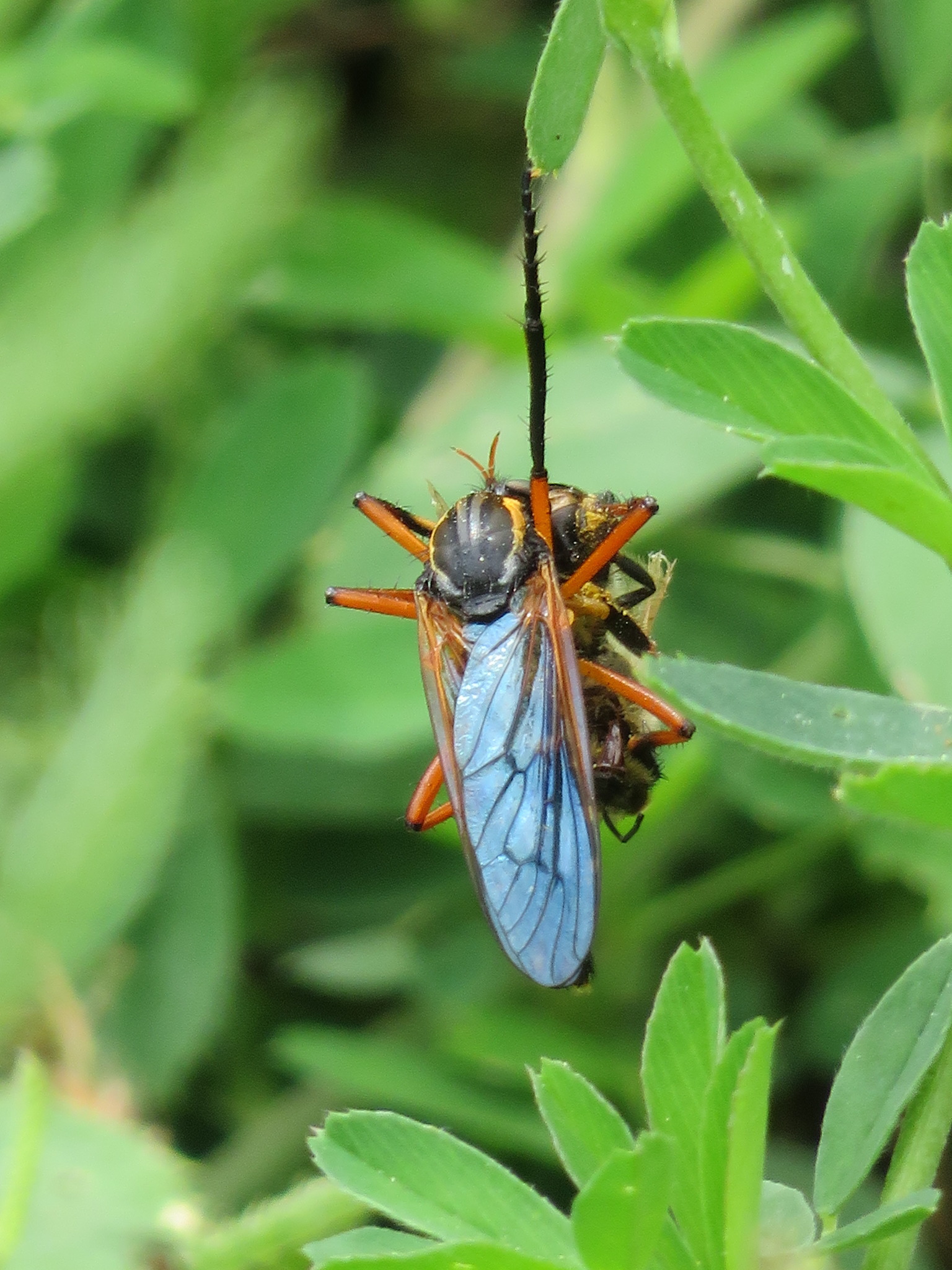 Lässig abhängen Innsbruck