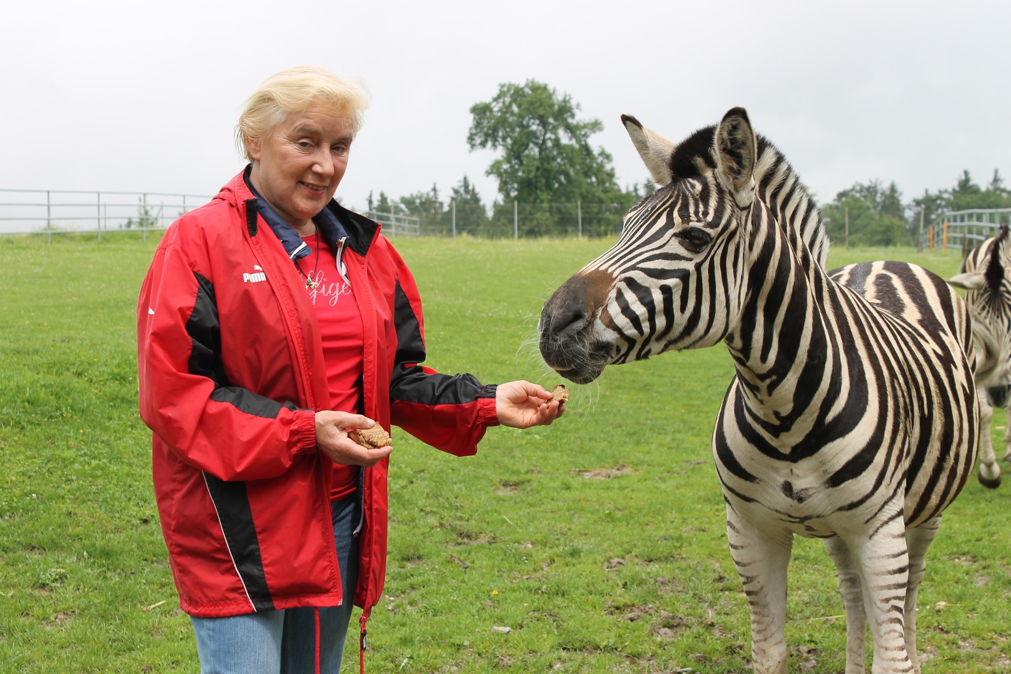 Tiergarten Walding Kampf um Besucher UrfahrUmgebung
