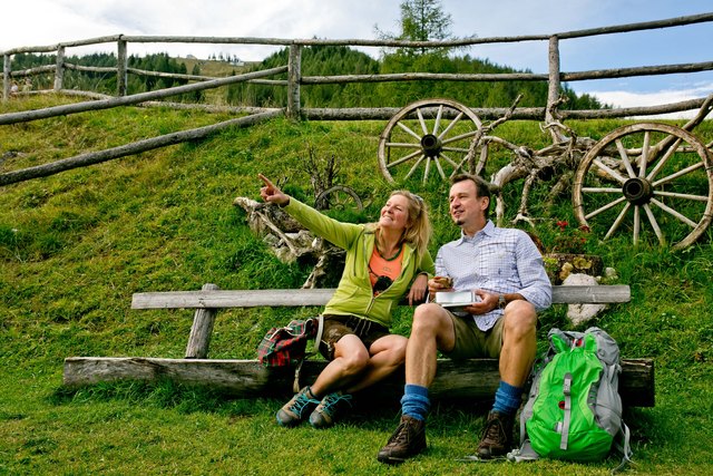 Bei einer Wanderung die Natur erleben und so manches Schmankerl auf einer Hütte genießen. | Foto: wildbild