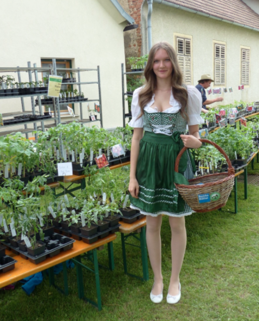 Das Biofest in Güssing findet am Samstag, dem 18. Juni, statt. | Foto: Radowan