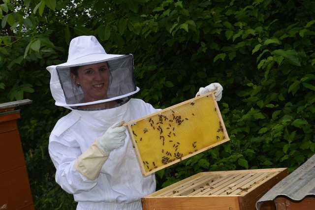 Imkerin in Ausbildung: Marlies Nadlinger mit ihren Honigwaben, die gerade von den Bienen ausgebaut werden.