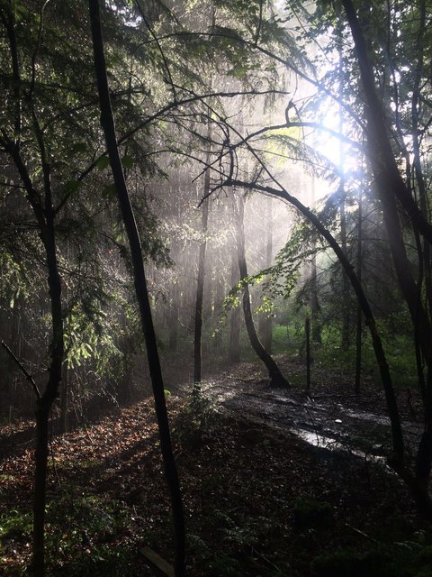 Salzburg Seenland - Seekirchen