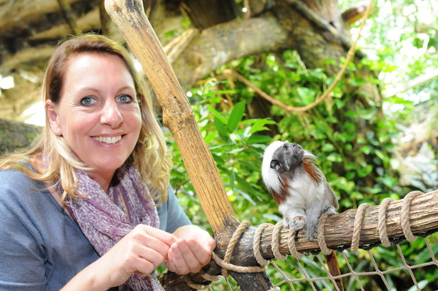 Zoo-Direktorin Sabine Grebner füttert Liszt-Affen mit Mehlwürmern. Die Affen tragen übrigens wegen ihrer unverkennbaren Frisur den Namen von Komponist Franz Liszt.