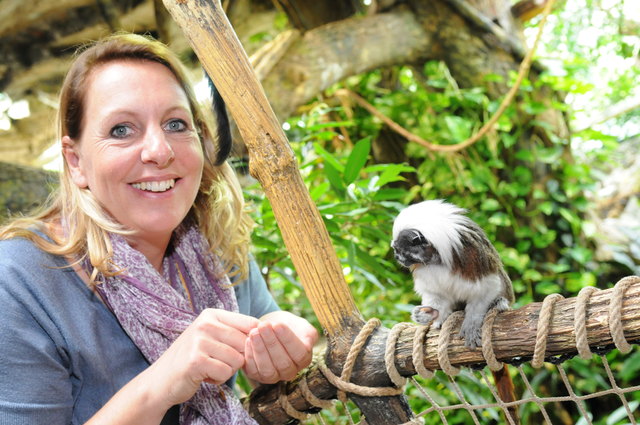 Zoo-Direktorin Sabine Grebner füttert Liszt-Affen mit Mehlwürmern. Die Affen tragen übrigens wegen ihrer unverkennbaren Frisur den Namen von Komponist Franz Liszt.