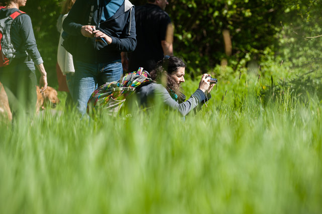 Naturschätze kann man bei der Wanderung mit den Grünen in der Deutschlandsberger Klause entdecken. | Foto: podesser.net