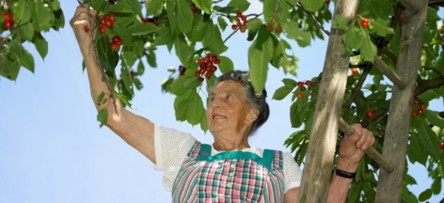 (c) Natur im Garten / Alexander Haiden
