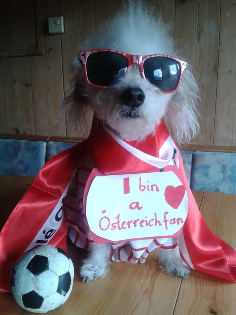 Oskar, unser Fussballfan!