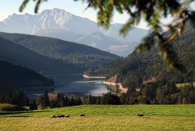 Ein malerischer Ausblick auf den Wiestalstausee, ein beliebter Badeplatz. | Foto: Gemeinde Adnet