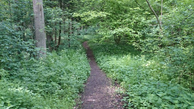 Am Samstag, den 18.06.2016 lud das Familienzentrum Dialog, Melicharstr. 2, 4020 ab 14:00 Uhr zu einem weiteren Familienwandertag ein...