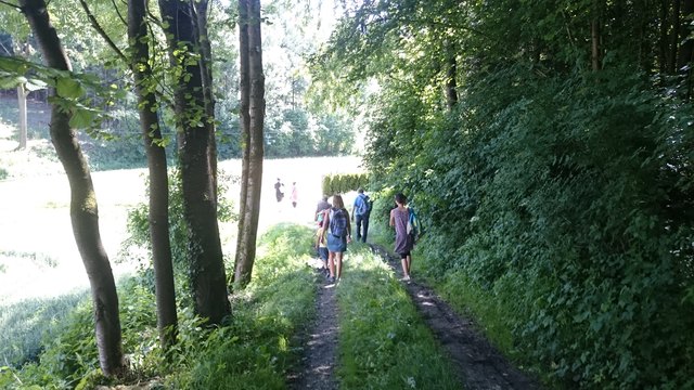 ...und dann wanderten sie anschließend eine halbe Stunde auf einem Waldweg...