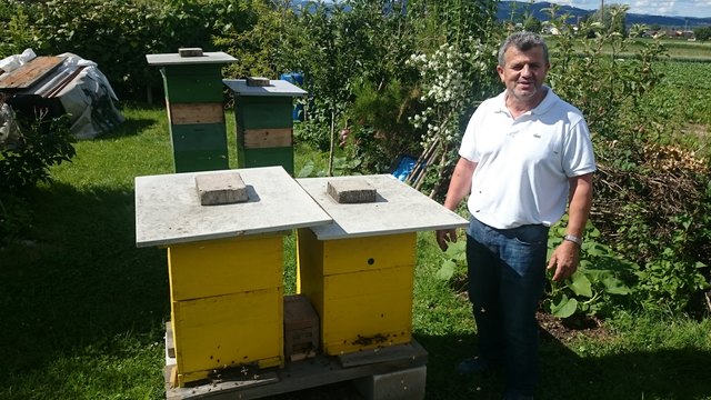 Von Herrn Đževad Ramić, einem aus Bosnien und Herzegowina stammenden Hobby- Imker,...