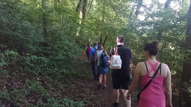 wurde dann der Heimweg wieder gemeinsam angetreten. Bildnachweis: Ivica Stojak.Honorarfrei!