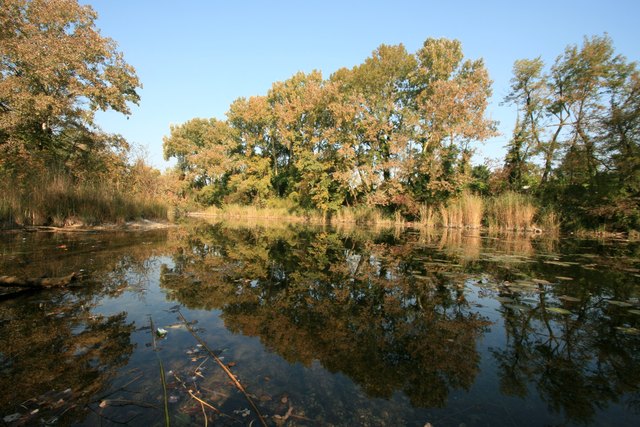 Aktion für die Untertunnelung der Lobau: Am 23. Juni verteilt die ÖVP bei der Donaustadtstraße/Neuhaufenstraße Folder und Wasser. | Foto: Fassl