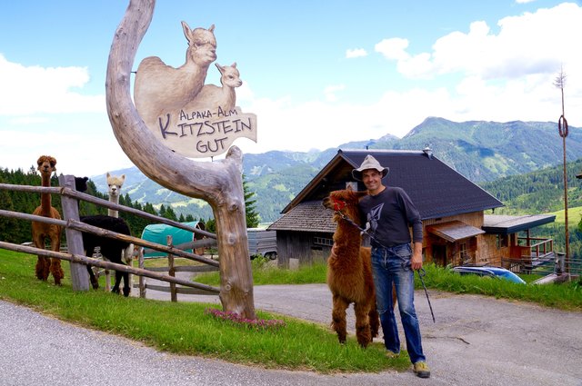 Mit seinem Alpaka Kimbo unternimmt Bernhard Maurer von seinem Kitzsteingut aus auch kleine Wanderungen.