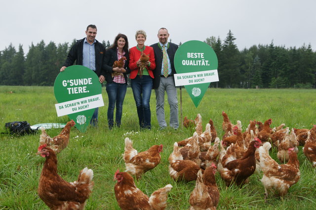 Robert und Tanja Kogelmann, Martina Diesner-Wais und Markus Wandl schau'n drauf, zu regionalen Produkten zu greifen.
