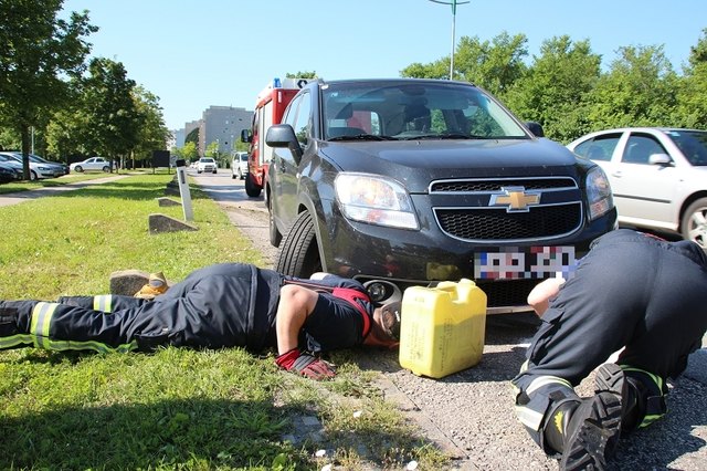 Aus dem Motorraum des PKW floss das Öl aus und verunreinigte die Fahrbahn. | Foto: FF Ma. Enzersdorf/Zeilinger