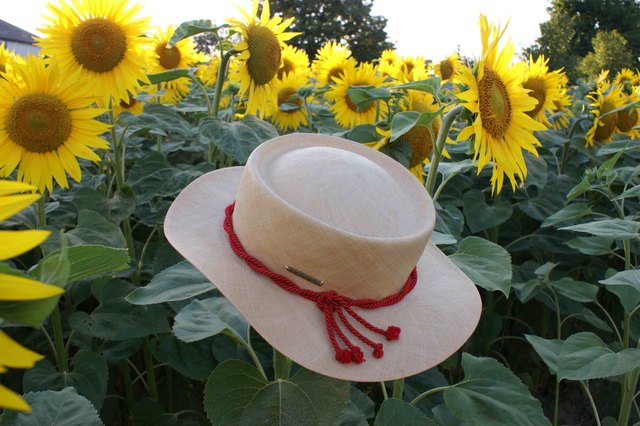 "Unter Sonnen" hinter meinem Garten