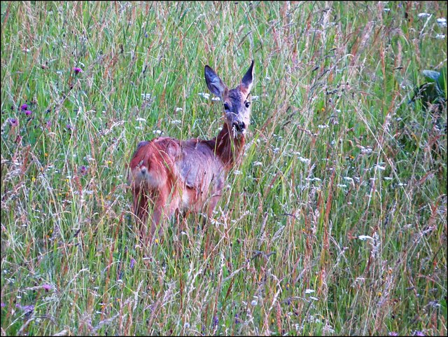 Ätsch....kannst mich eh nicht fangen!
