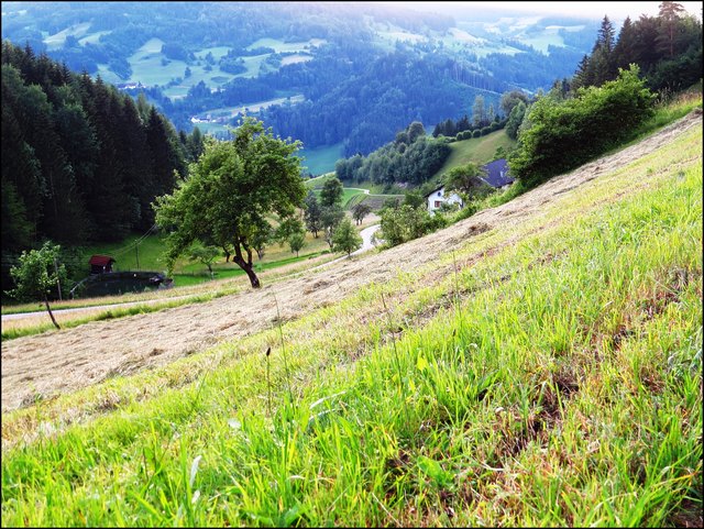 Die Sonne ist untergegangen........