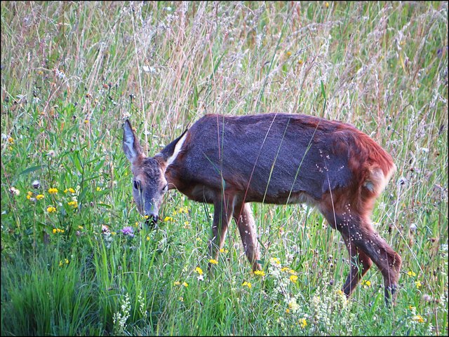 Und sie sieht mich einfach nicht......