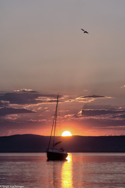 SAIL Sundowner Podersdorf