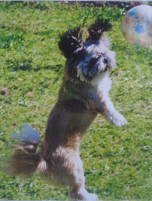 Knut der Kicker