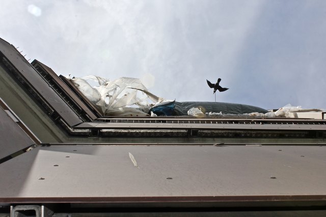Blick von unten auf den obersten Balkon unterm Dach, wo die Tauben hausen - ein idealer Unterschlupf für die Tiere!