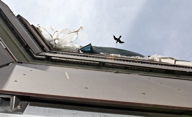 Blick von unten auf den obersten Balkon unterm Dach, wo die Tauben hausen - ein idealer Unterschlupf für die Tiere!