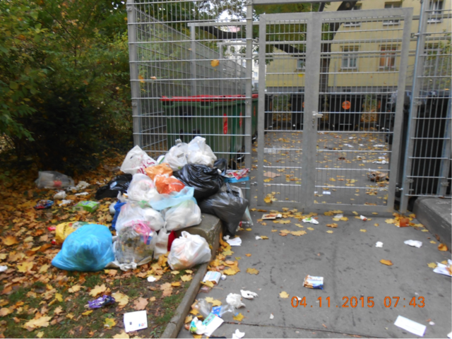 Der Müll wird illegal vor dem eingezäunten Mistplatz abgelegt. | Foto: Günther A.