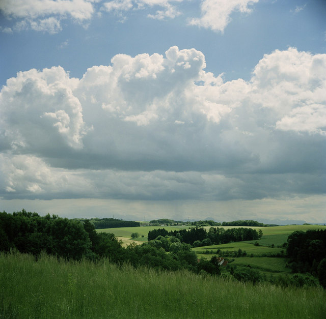 Im Kürnbergwald befindet sich die Burgruine aus der Römerzeit. | Foto: privat