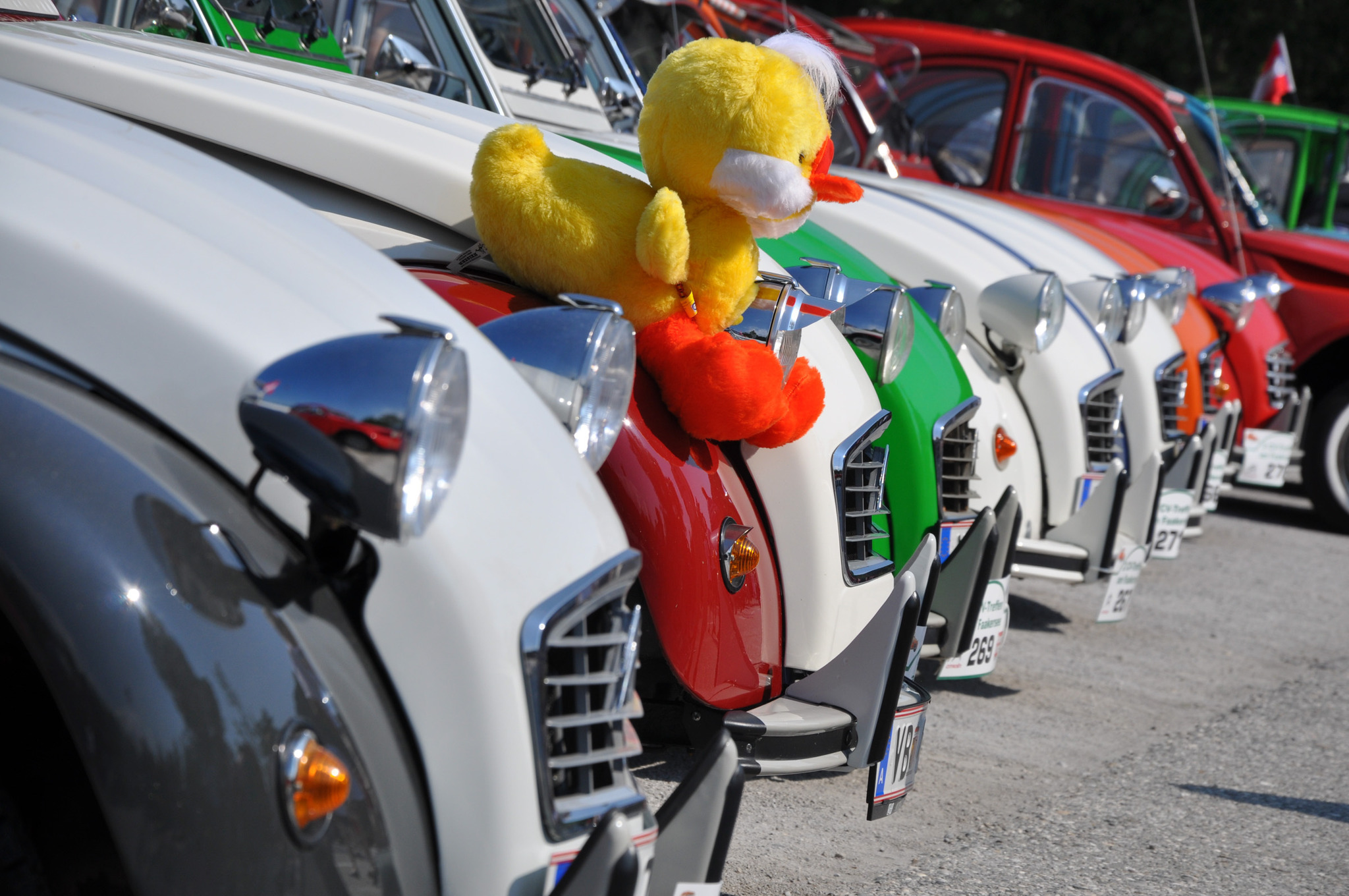 MIT VIDEO: ENTEN 2016 - K'Antn is lei ans - Villach Land