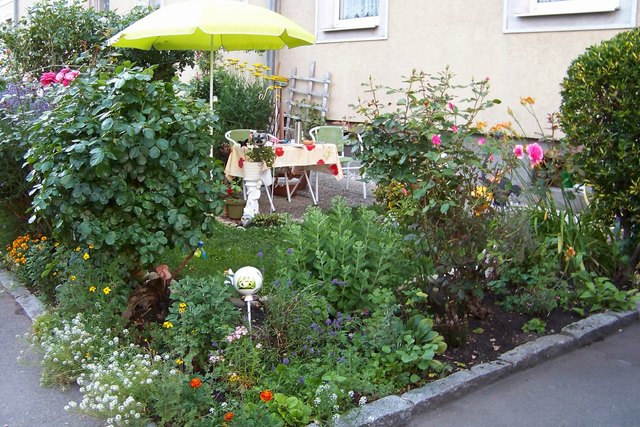Mein Garten
