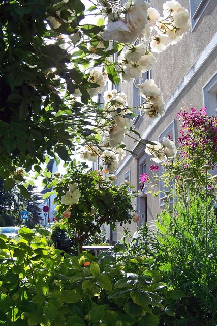 Durchblick zum Nachbar