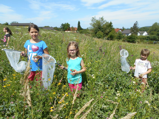 Vor Schulschluss verbrachten die Kinder eine Projektwoche im Naturpark Raab.
