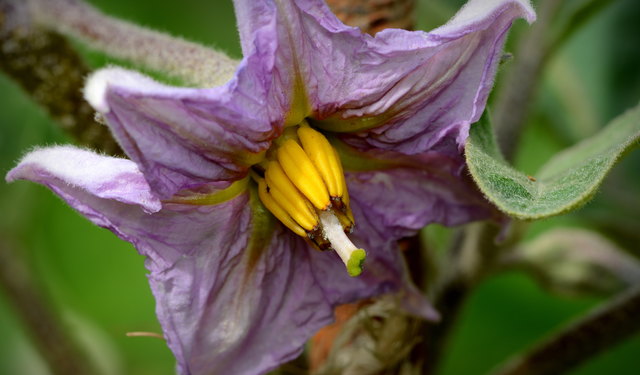 Vollbild !