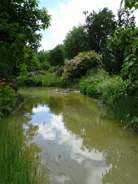 ... zeigt sich der Teich im Botanischen Garten von Innsbruck nach dem Unwetter am Samstag